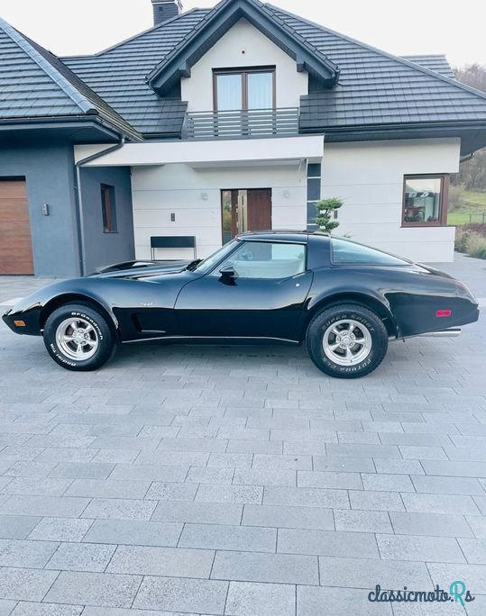 1979' Chevrolet Corvette photo #1