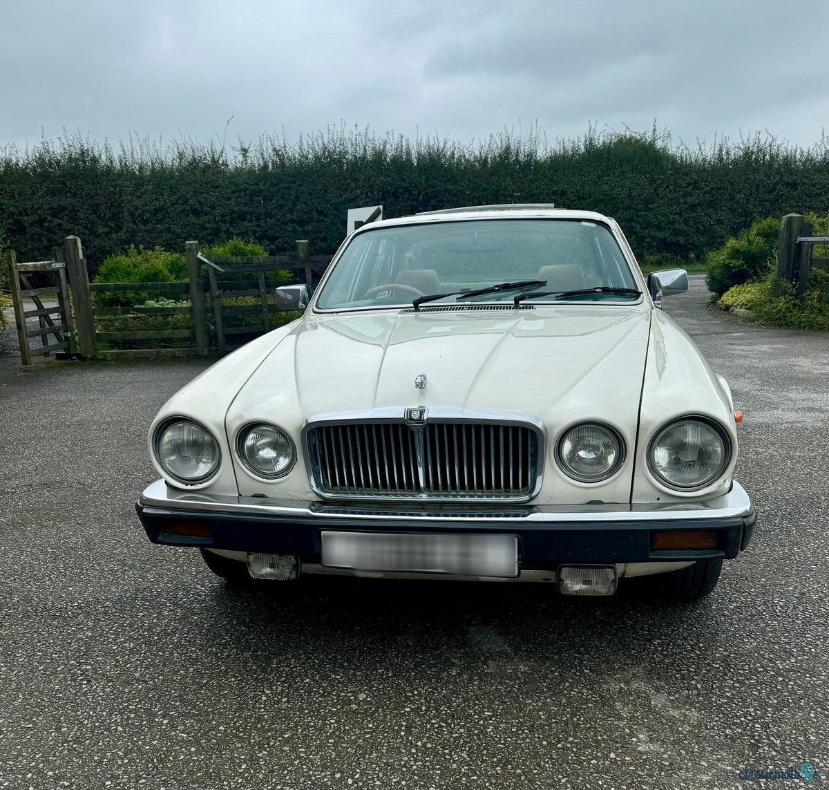 1979' Jaguar XJ photo #3