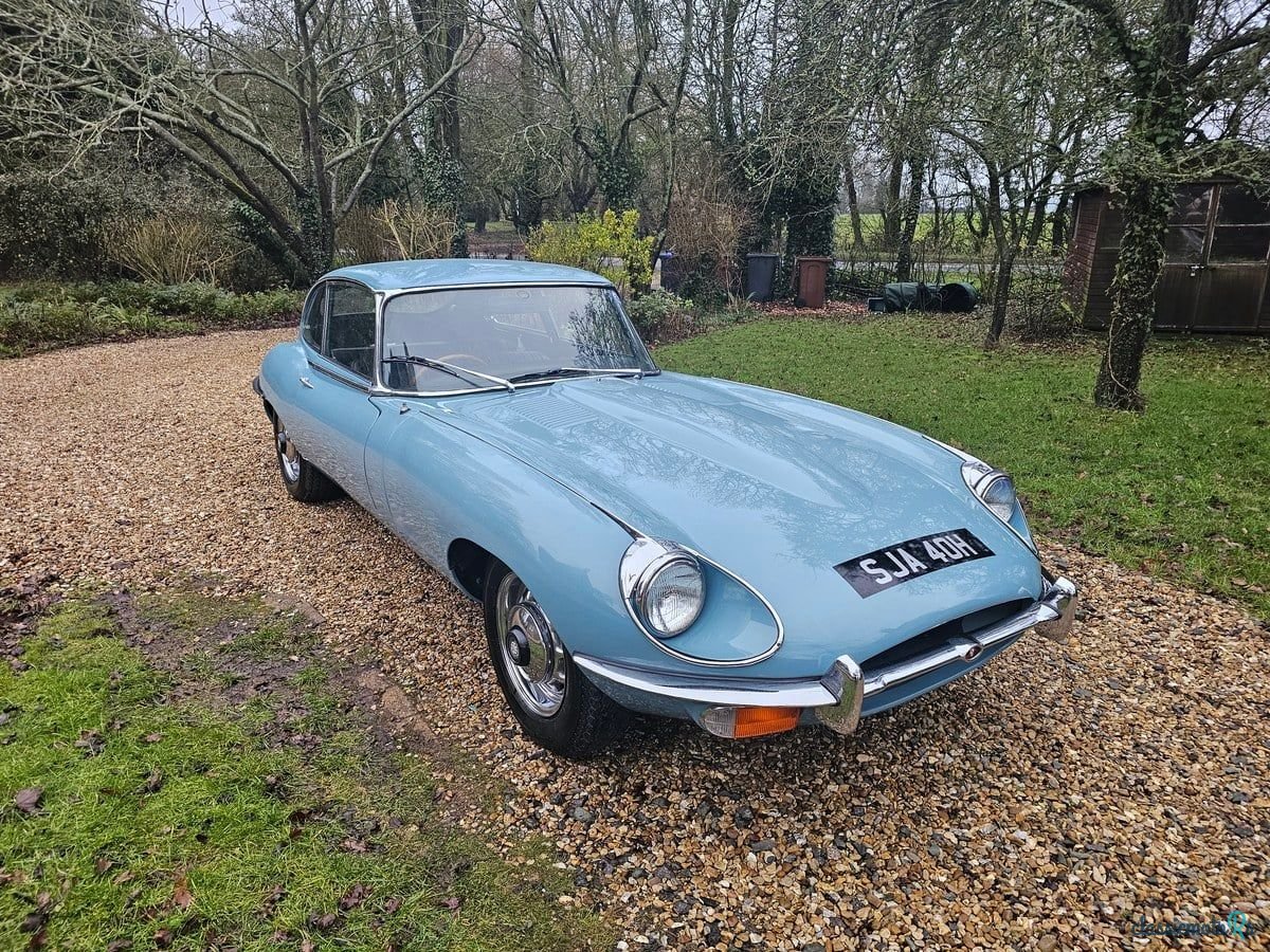 1969' Jaguar E-Type photo #1