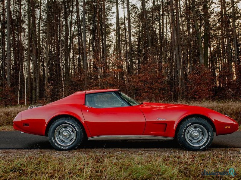 1976' Chevrolet Corvette photo #6