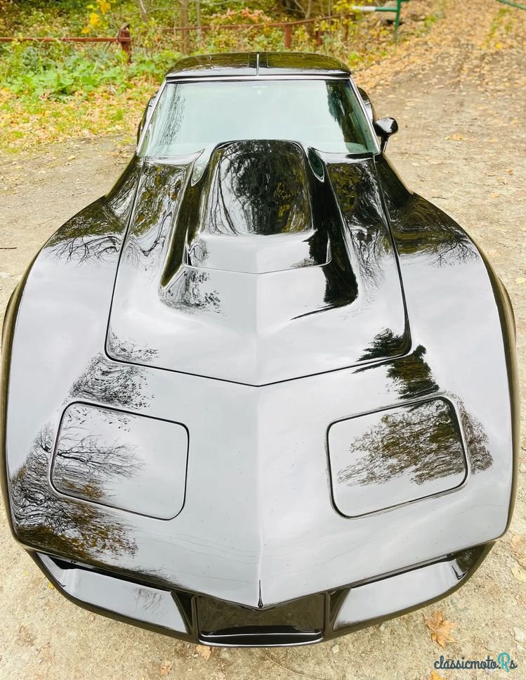1977' Chevrolet Corvette photo #5