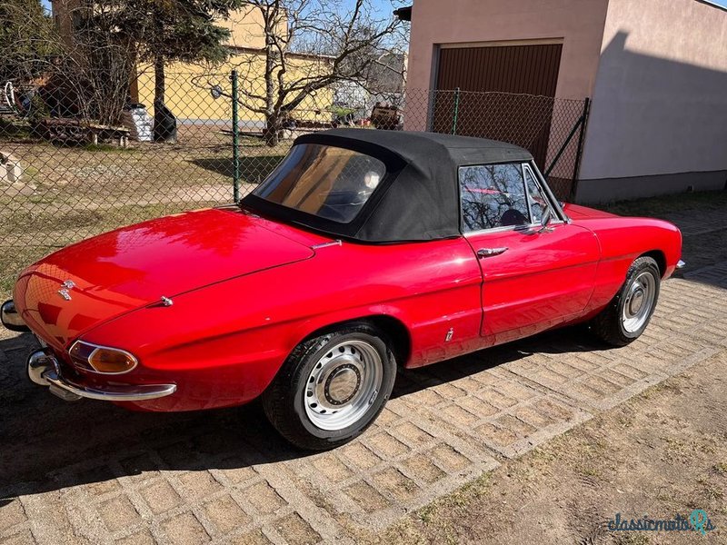 1969' Alfa Romeo Spider photo #5