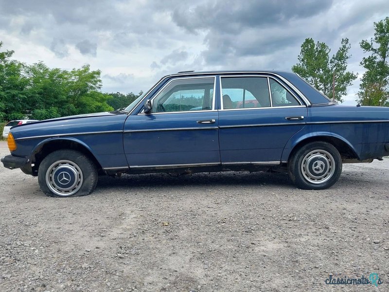 1976' Mercedes-Benz W123 photo #4