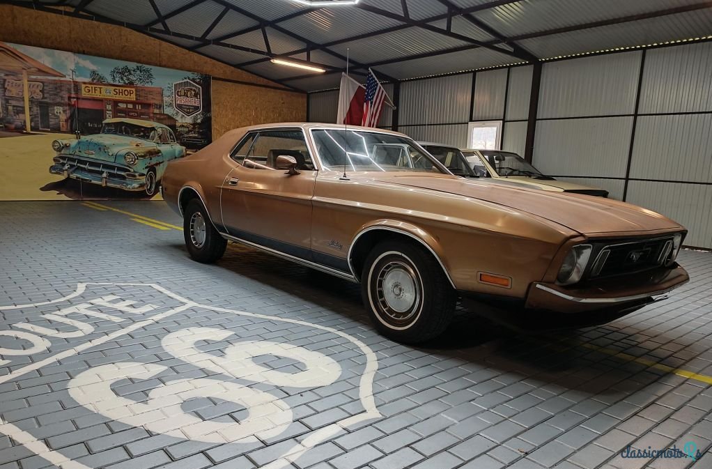 1973' Ford Mustang photo #3