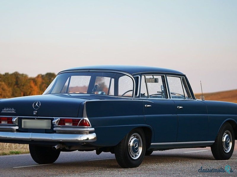 1965' Mercedes-Benz 220 photo #3