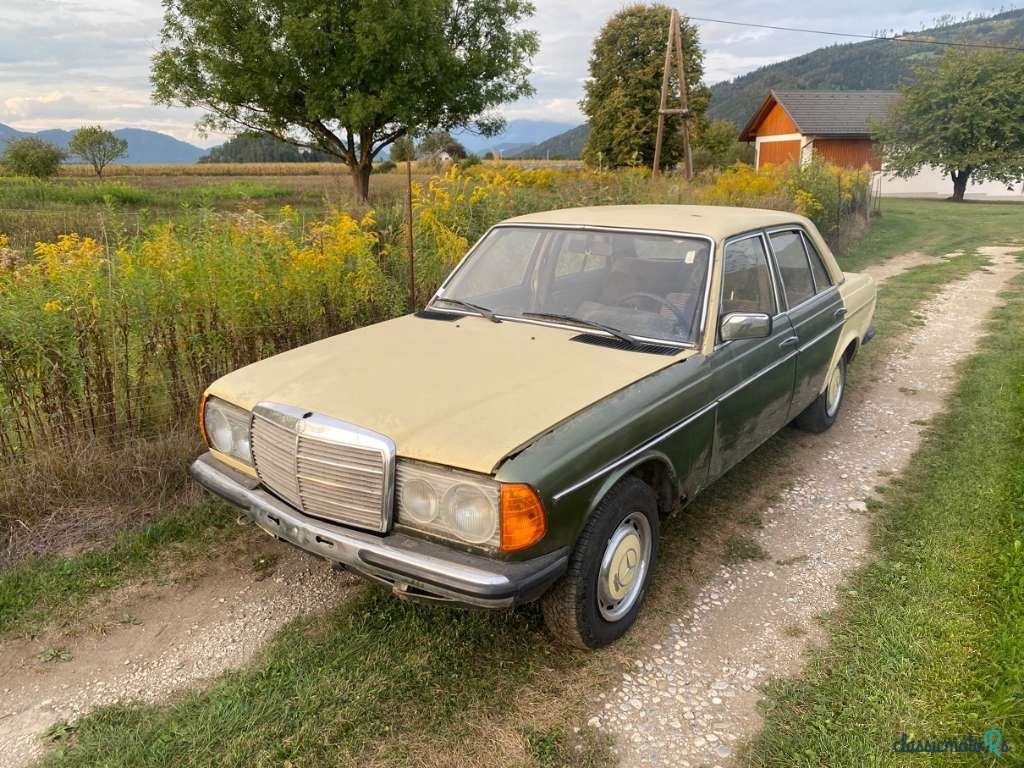 1977' Mercedes-Benz 240 D W123 photo #3