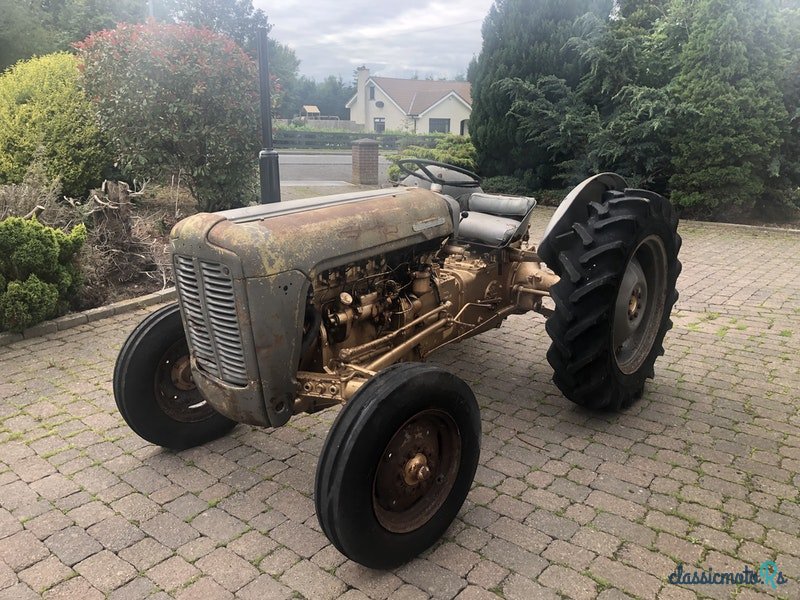 1960' Massey Ferguson photo #1