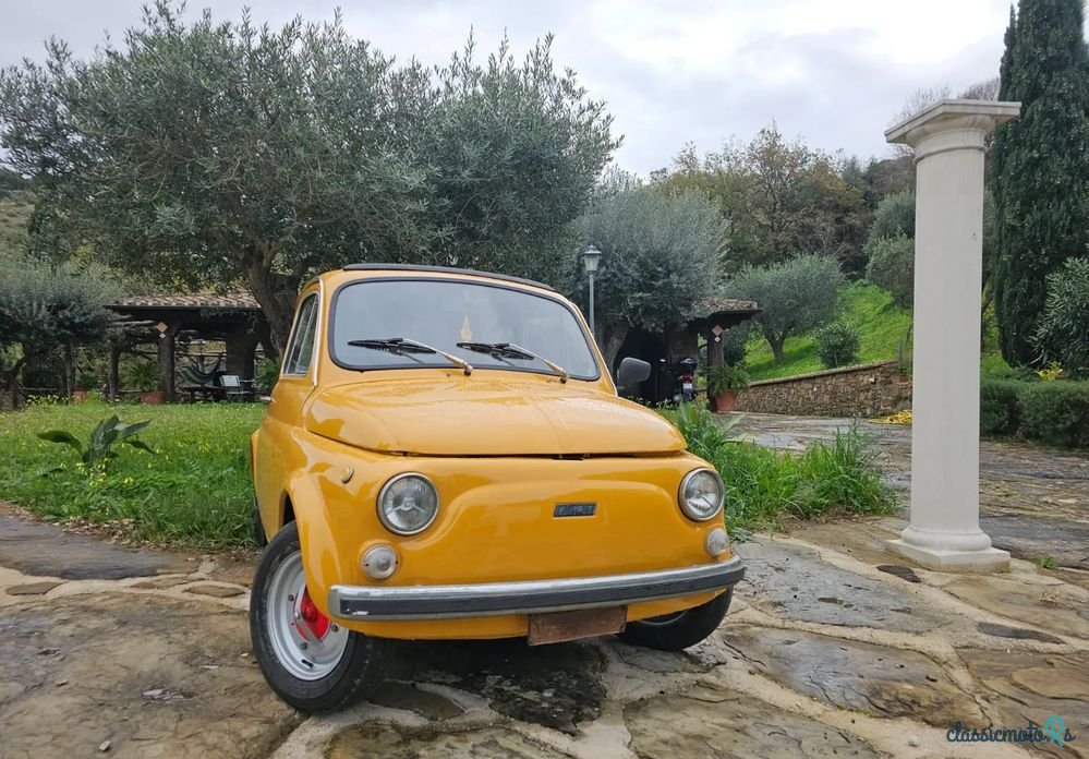 1969' Fiat 500L photo #5