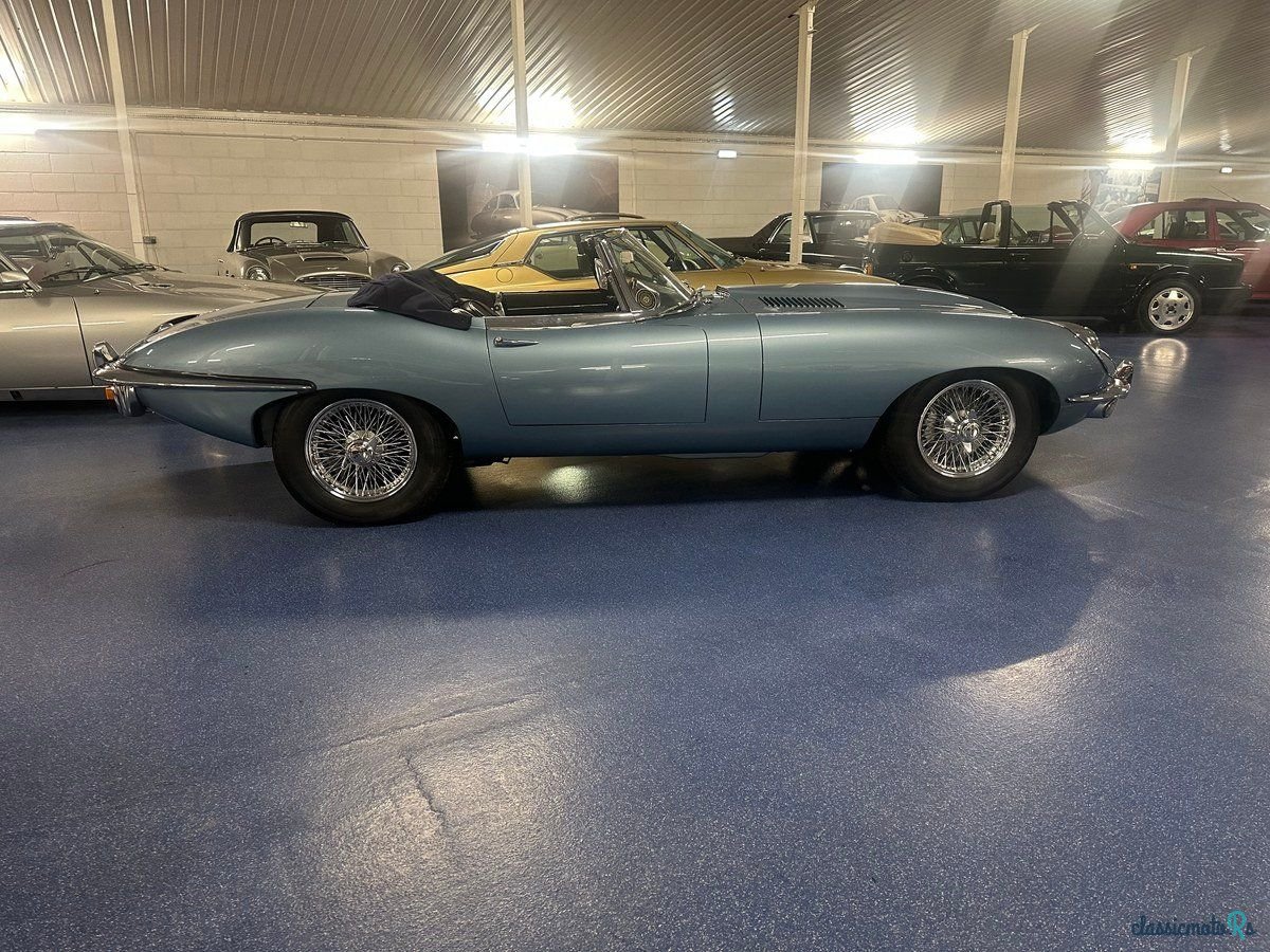 1969' Jaguar E-Type photo #4