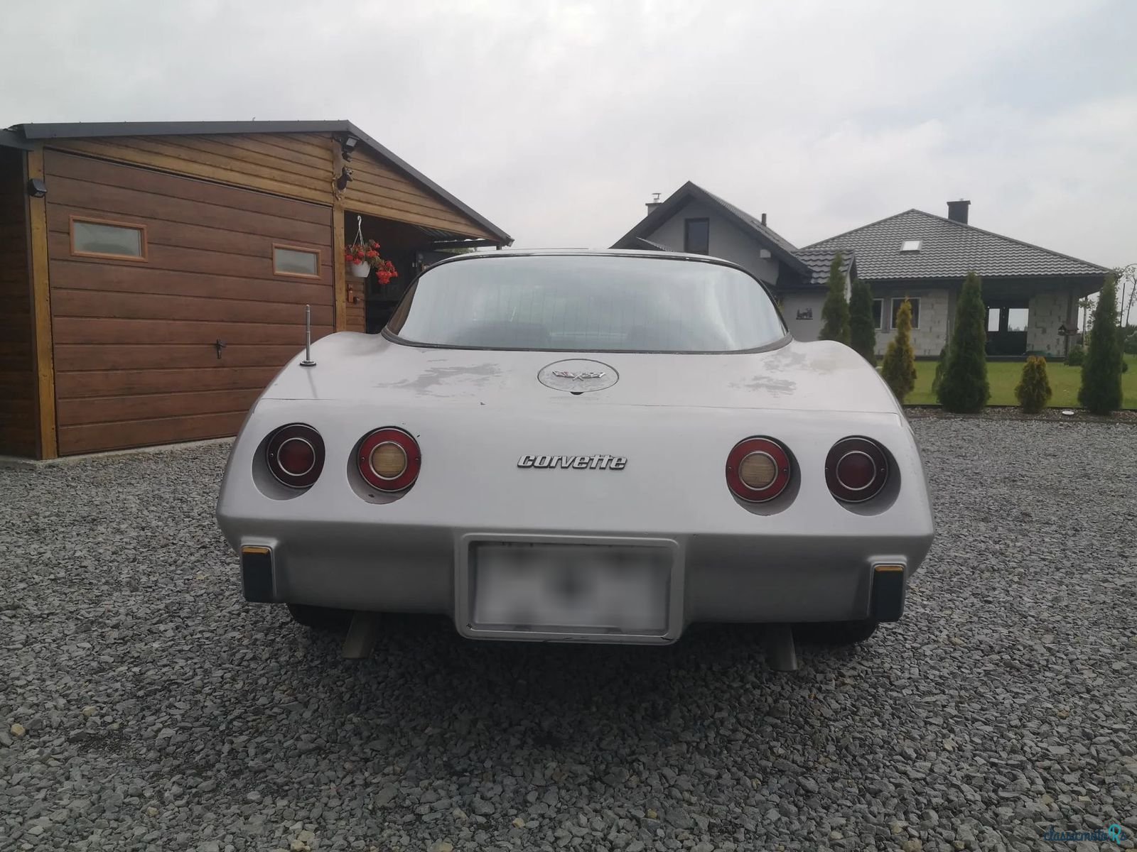 1979' Chevrolet Corvette photo #2