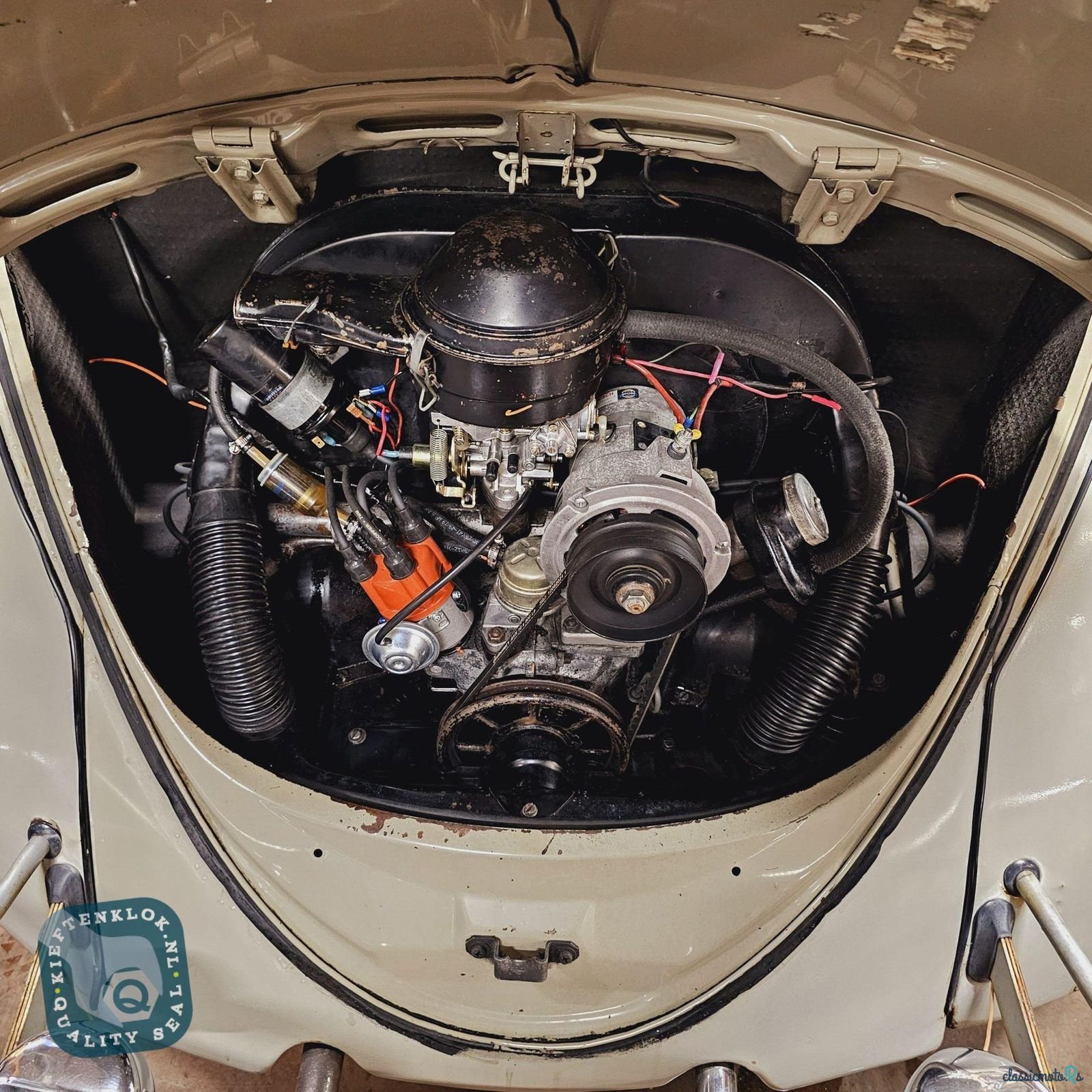 1966' Volkswagen Beetle photo #6