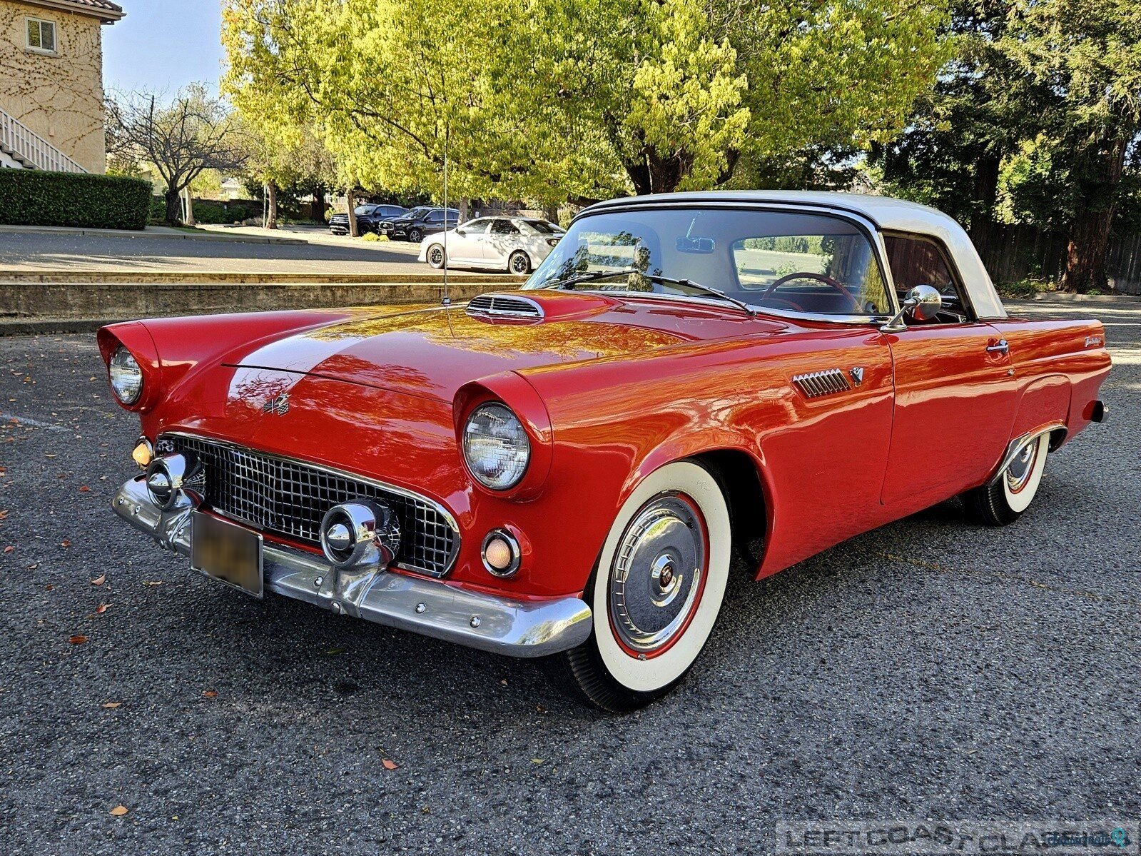 1955' Ford Thunderbird photo #2