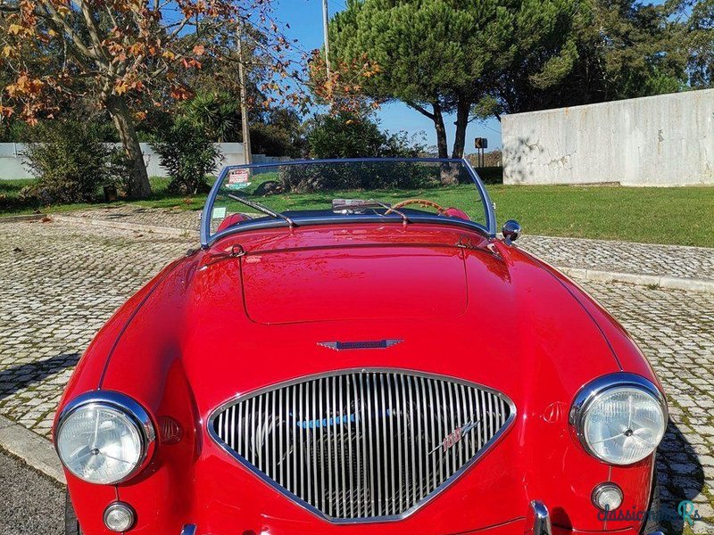 1955' Austin-Healey 100 photo #2