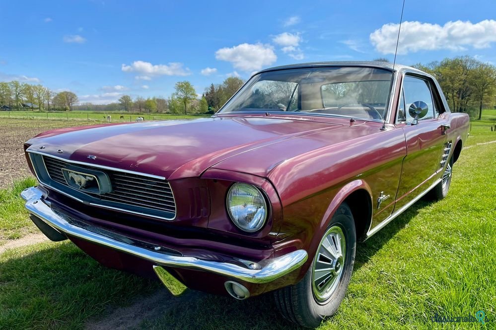 1966' Ford Mustang photo #1