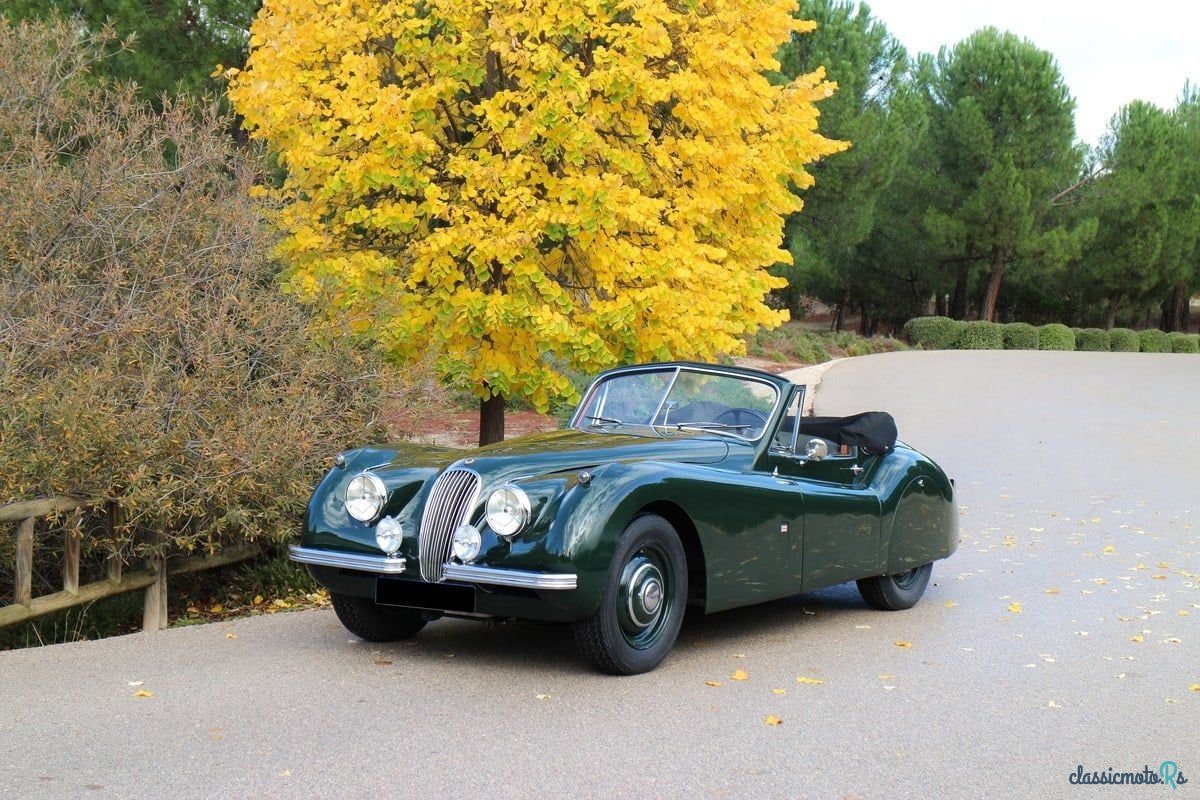 1953' Jaguar Xk120 photo #3