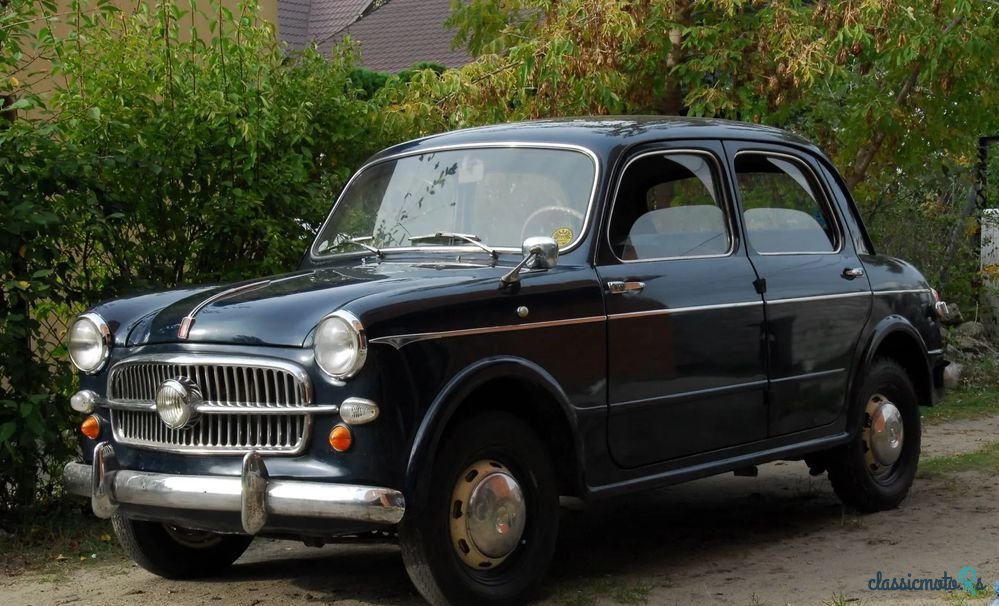 1957' Fiat 1100 Steyr photo #1