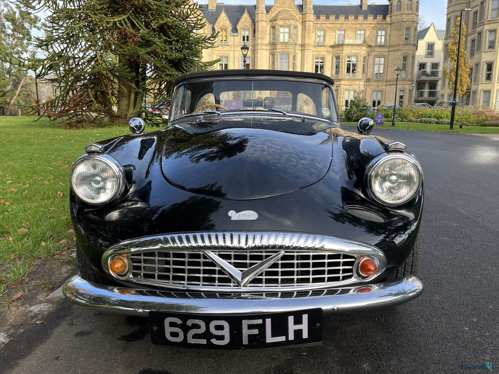 1963' Daimler Dart Sp250 photo #3