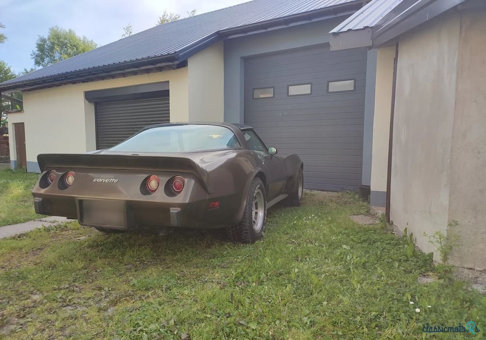 1978' Chevrolet Corvette photo #2