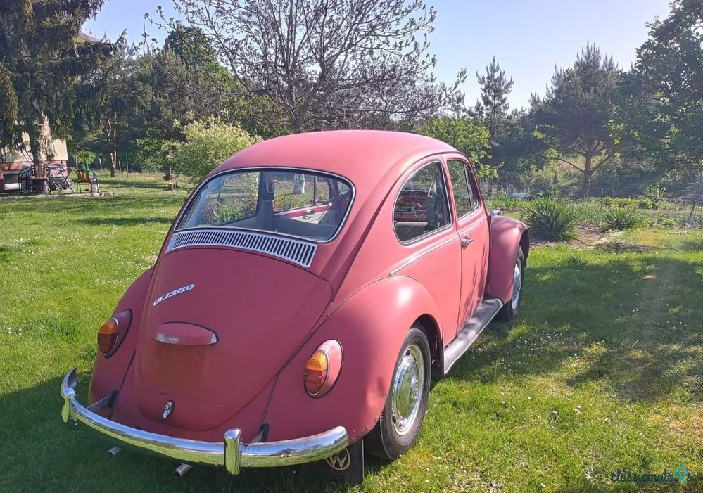 1967' Volkswagen Garbus photo #4