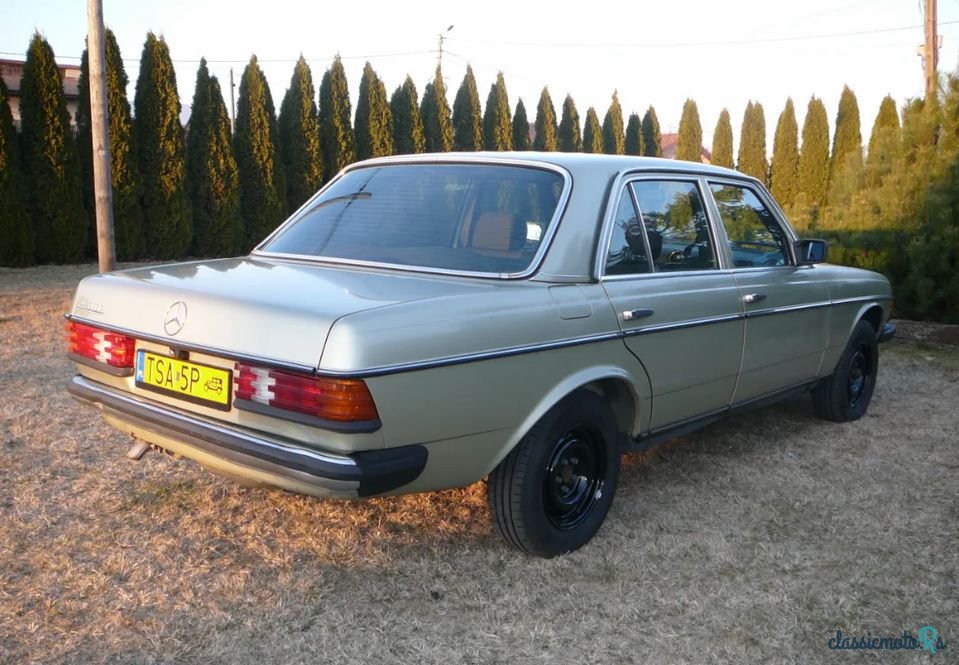 1982' Mercedes-Benz W123 photo #3