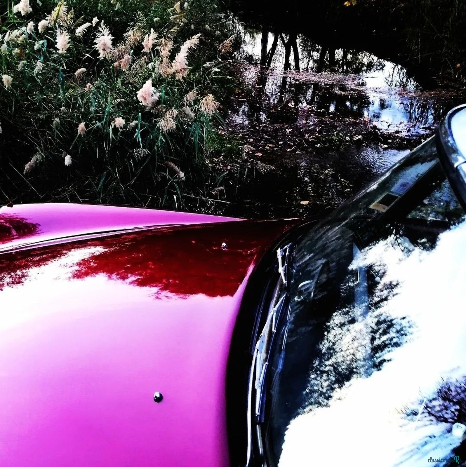 1962' Citroen ID19 photo #5