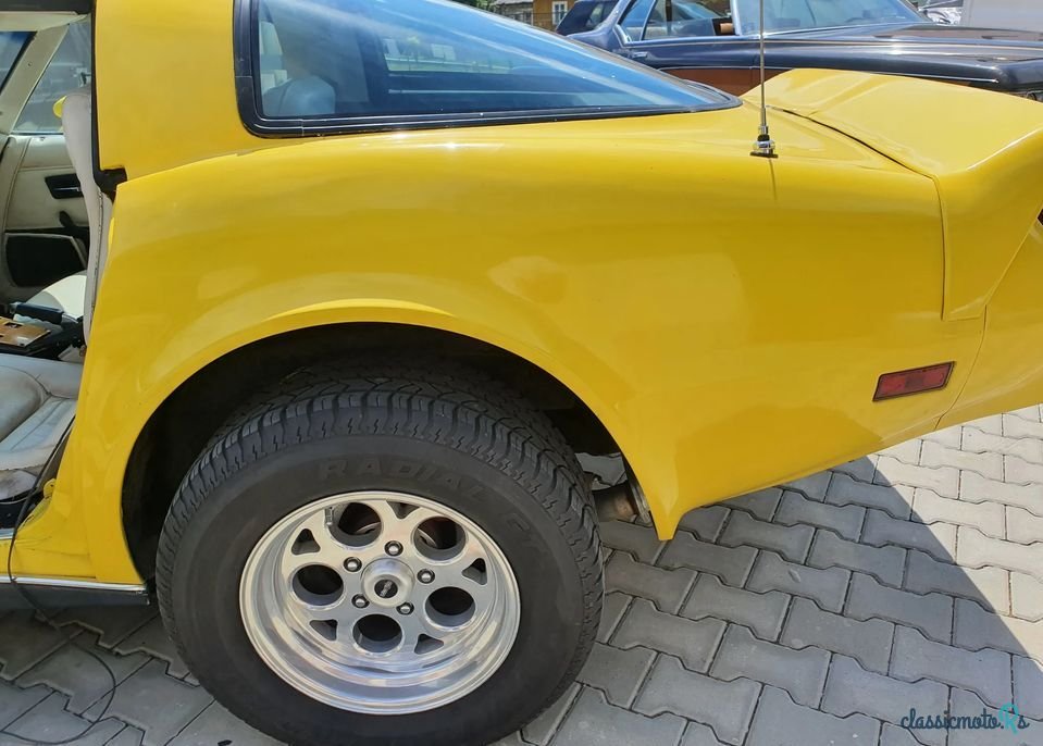 1979' Chevrolet Corvette photo #4
