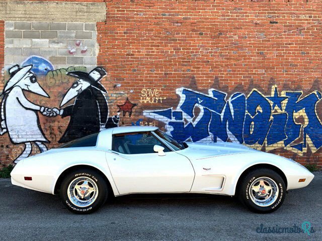 1978' Chevrolet Corvette photo #4