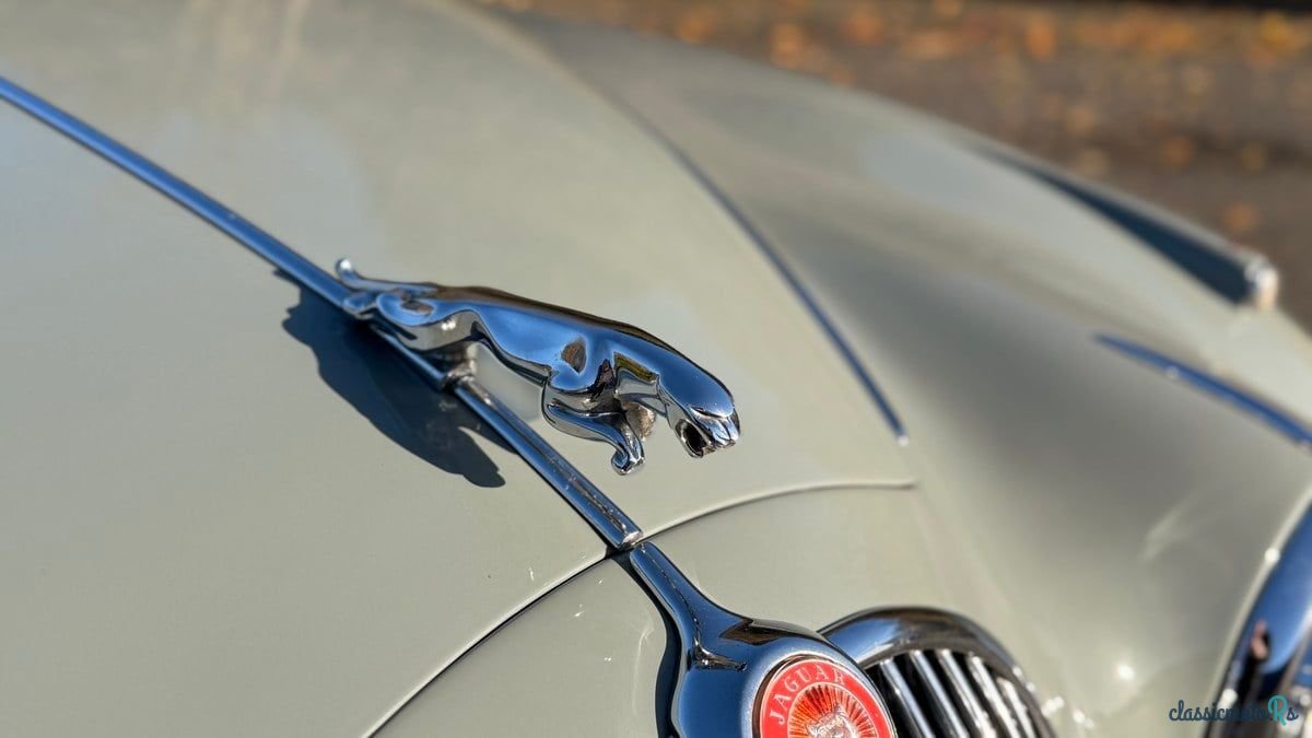 1959' Jaguar Mark II photo #2