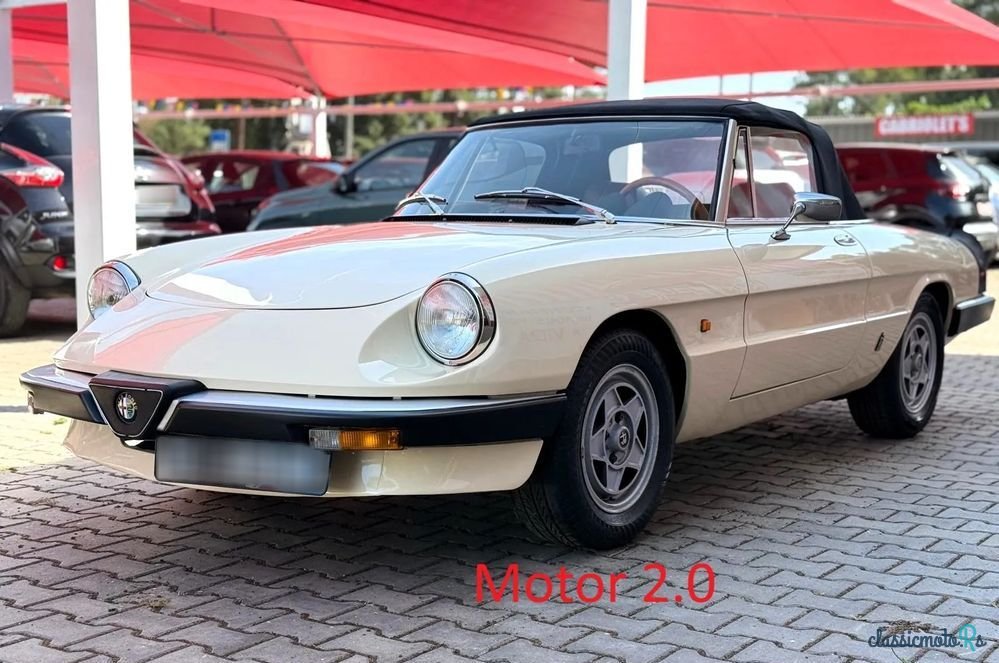 1983' Alfa Romeo Spider photo #1