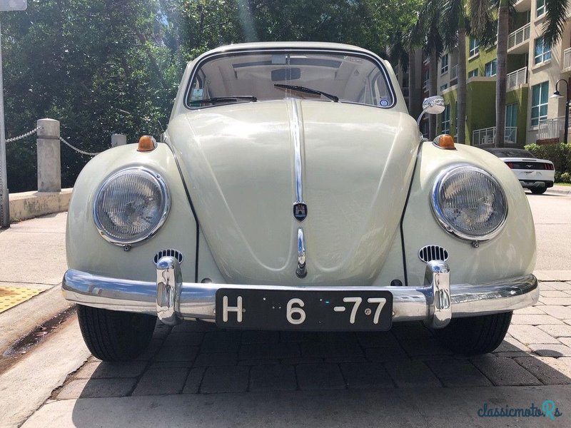 1961' Volkswagen Beetle photo #2