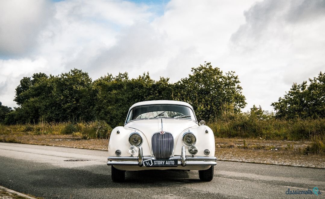1959' Jaguar XK photo #2