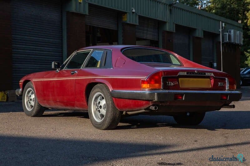 1983' Jaguar XJS photo #4