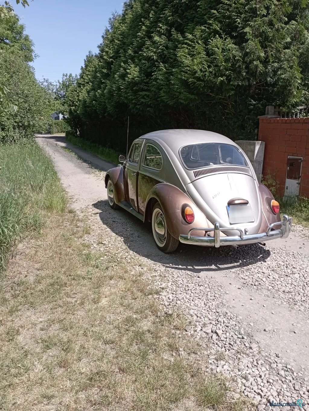 1969' Volkswagen Garbus photo #4