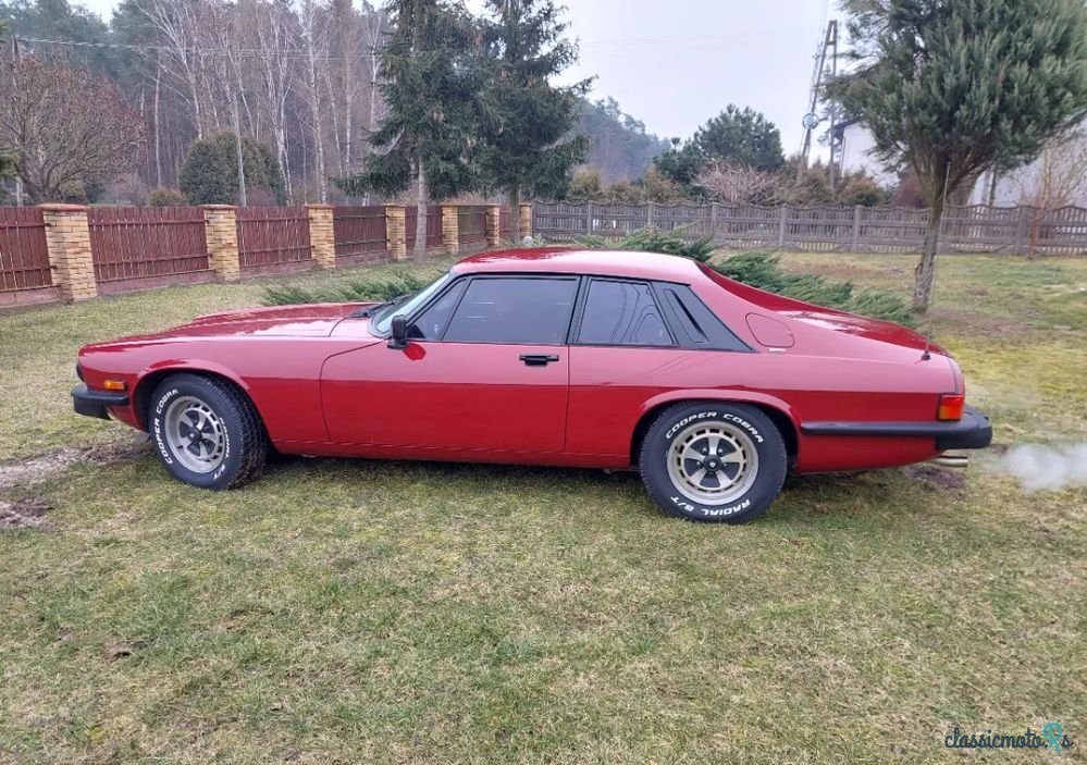 1977' Jaguar XJS photo #4