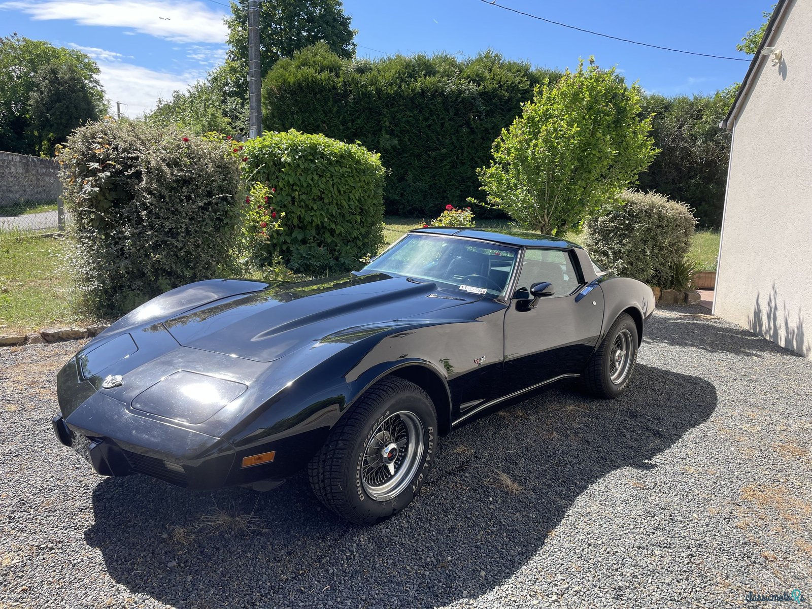 1978' Chevrolet Corvette photo #3