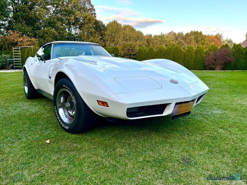 1973' Chevrolet Corvette photo #1