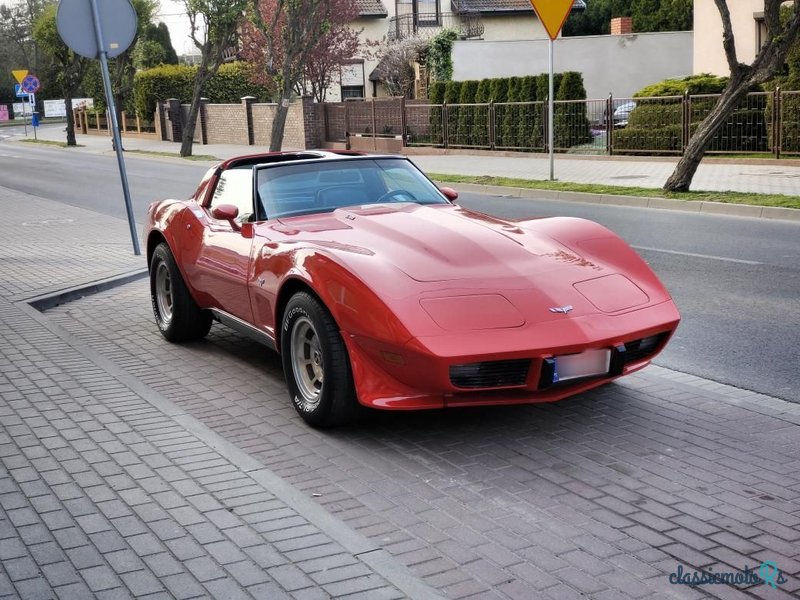 1979' Chevrolet Corvette photo #3