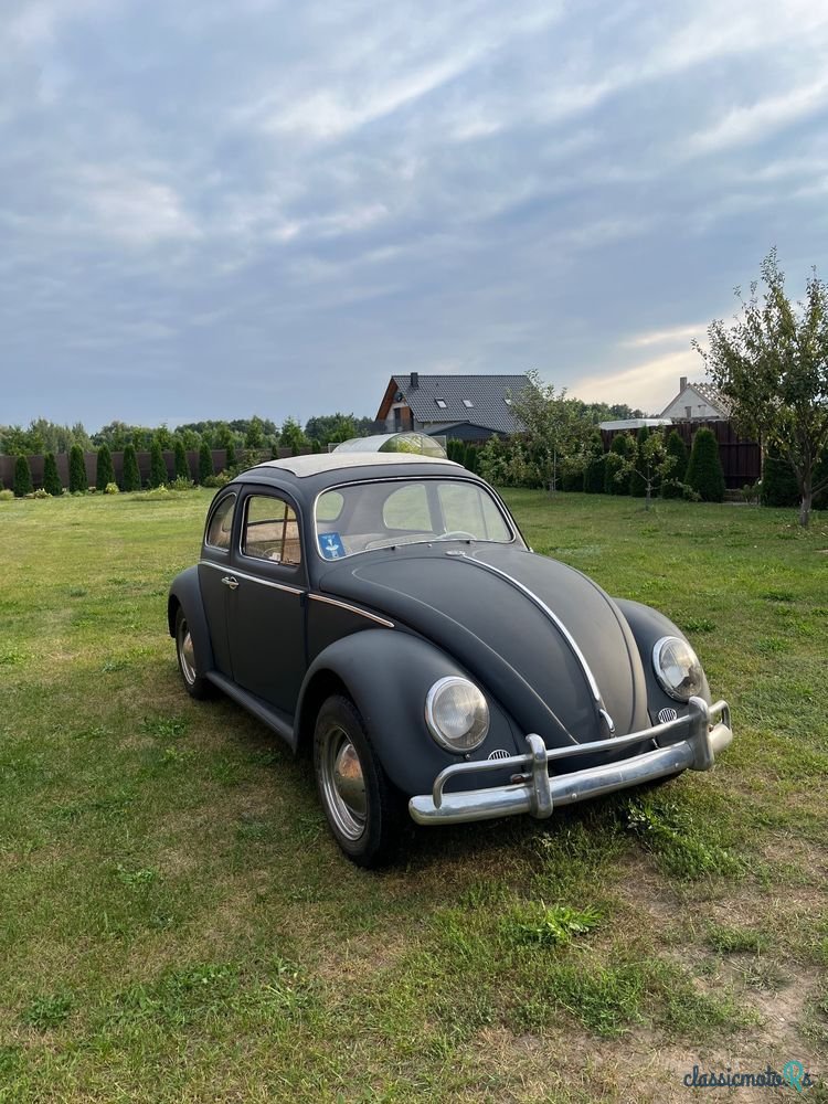 1962' Volkswagen Garbus photo #3