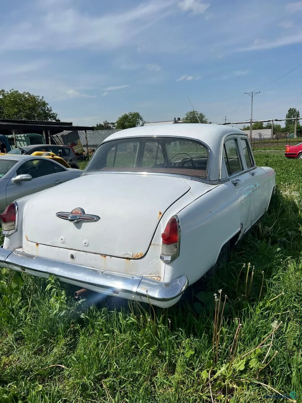 1966' Gaz M-21 Wołga photo #3