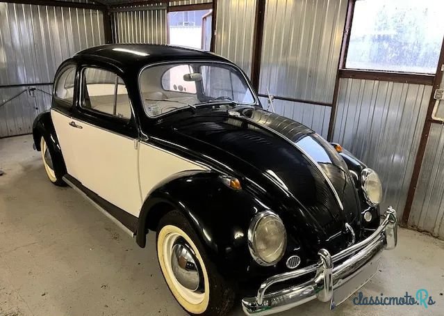 1962' Volkswagen Garbus photo #1