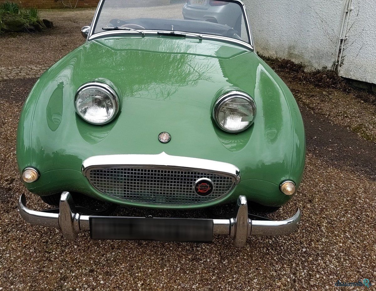 1961' Austin-Healey Sprite photo #4
