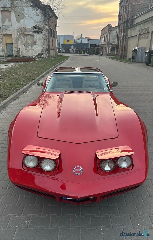 1973' Chevrolet Corvette photo #1