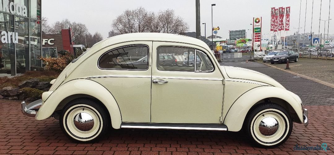1960' Volkswagen Garbus photo #5