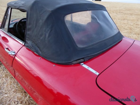 1970' Alfa Romeo Spider photo #3