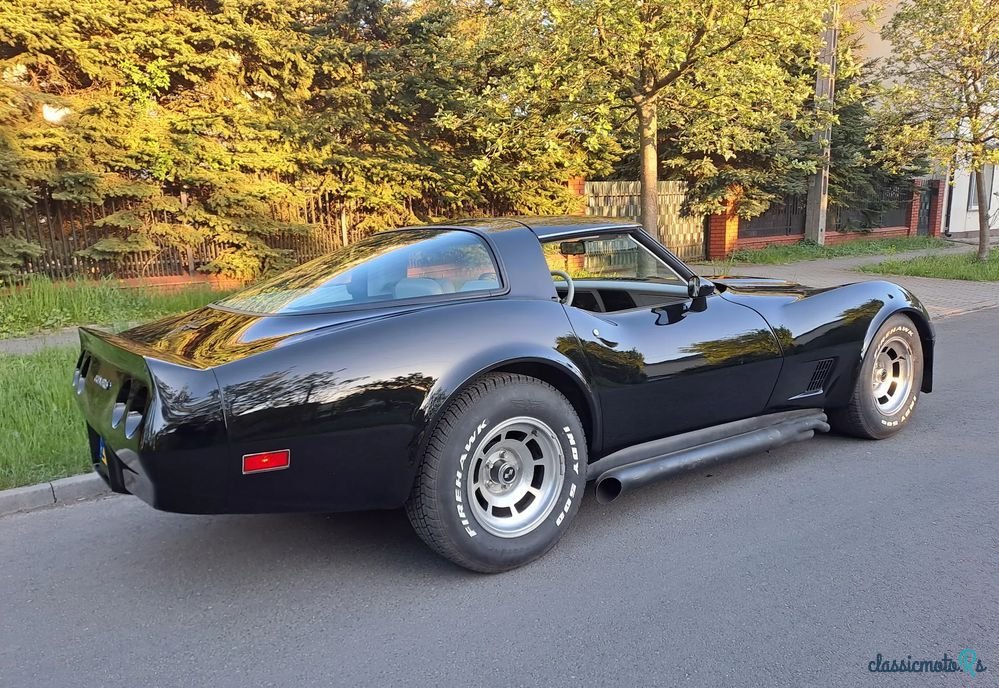 1979' Chevrolet Corvette photo #3