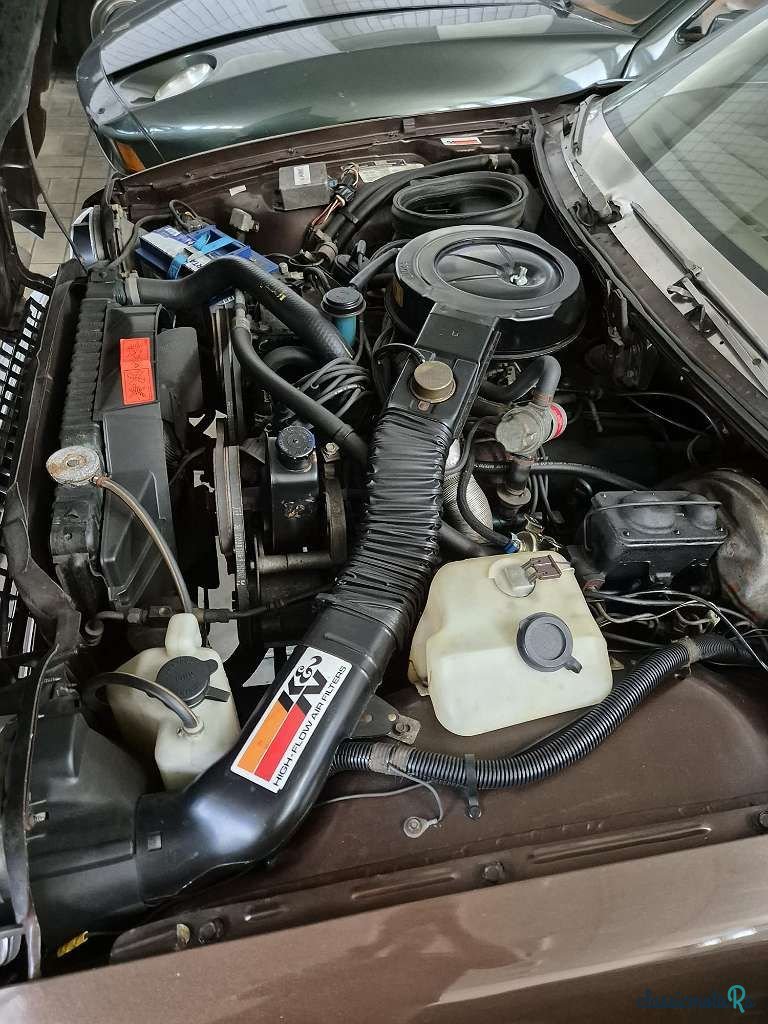 1979' AMC Pacer Station Wagon photo #4