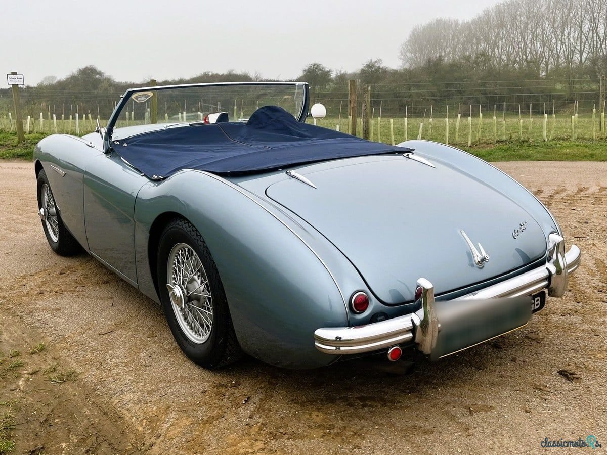 1954' Austin-Healey Bn1-100 photo #5