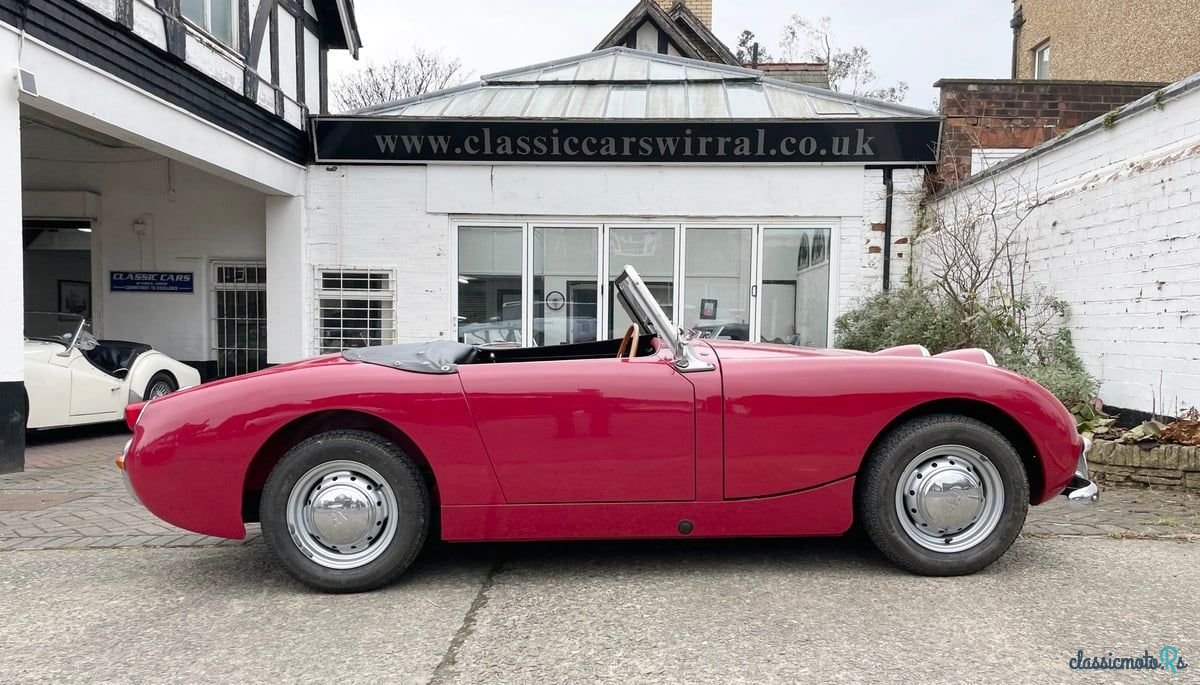 1959' Austin-Healey Sprite photo #3