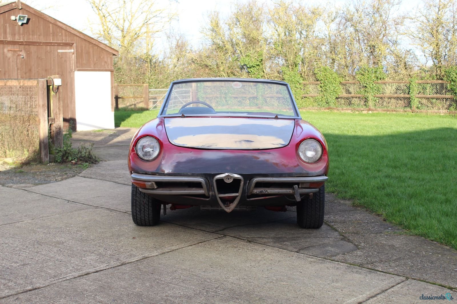 1969' Alfa Romeo Spider Veloce 1750 photo #5