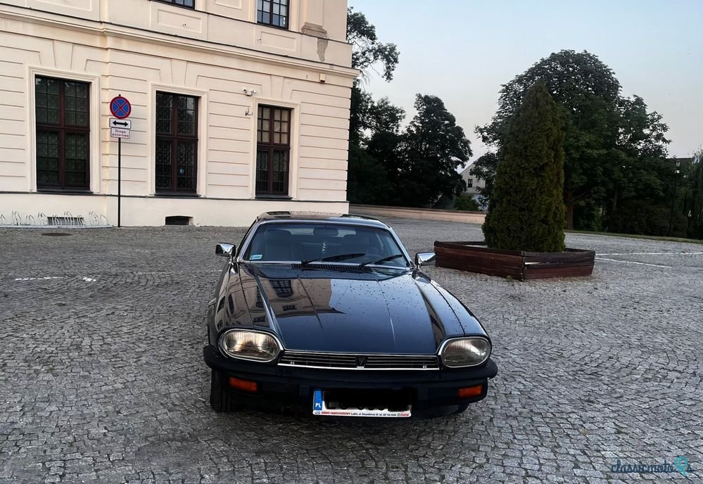 1979' Jaguar XJS photo #3